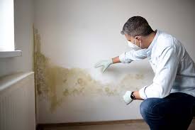 Mold Odor Removal Services in Franklin, LA